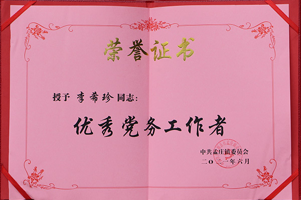 *党务工作者 *党务工作者