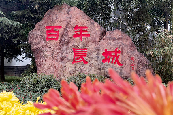 百年365电竞