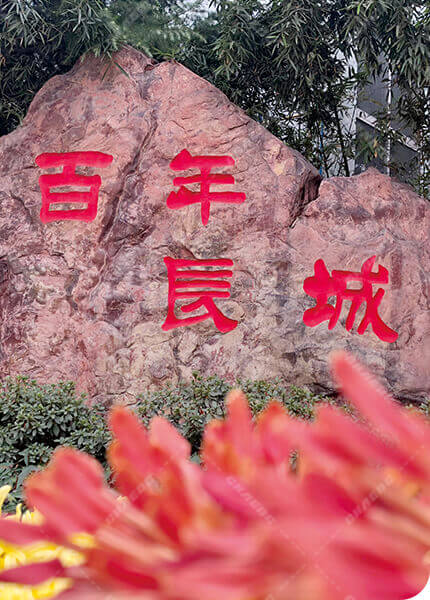 365电竞-不凡成就非凡,相信品牌的力量