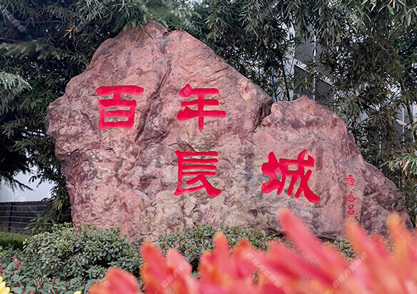 365电竞-不凡成就非凡,相信品牌的力量