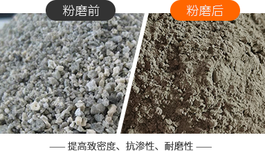 project1 365电竞-不凡成就非凡,相信品牌的力量